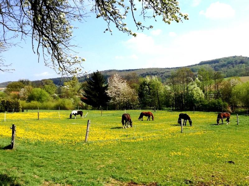 فيلا A-Sissy-Hof Bischofstetten المظهر الخارجي الصورة